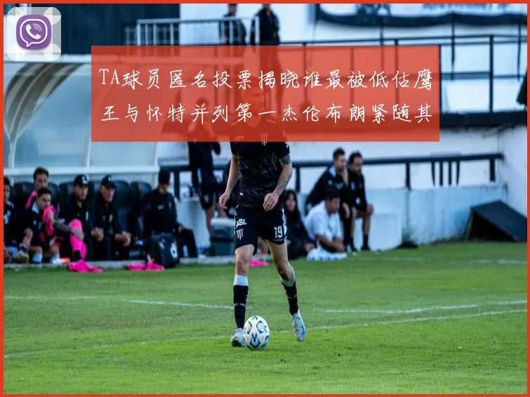 TA球员匿名投票揭晓谁最被低估鹰王与怀特并列第一杰伦布朗紧随其后