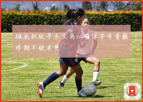 雄鹿积极寻求交易以确保字母哥巅峰期不被浪费